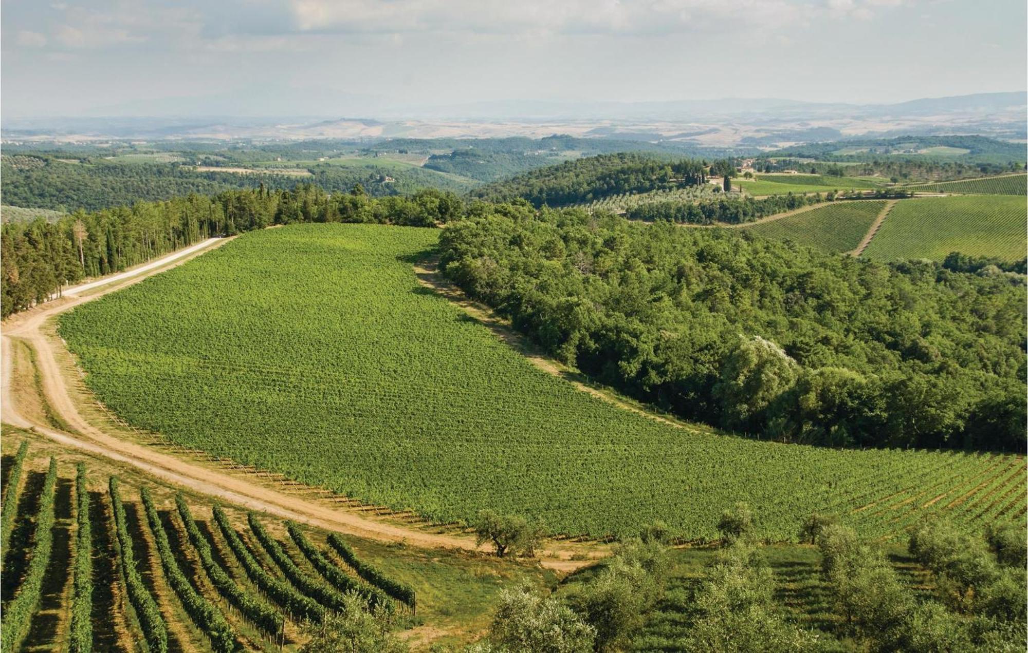 Piazzale 1 Διαμέρισμα Castellina in Chianti Εξωτερικό φωτογραφία