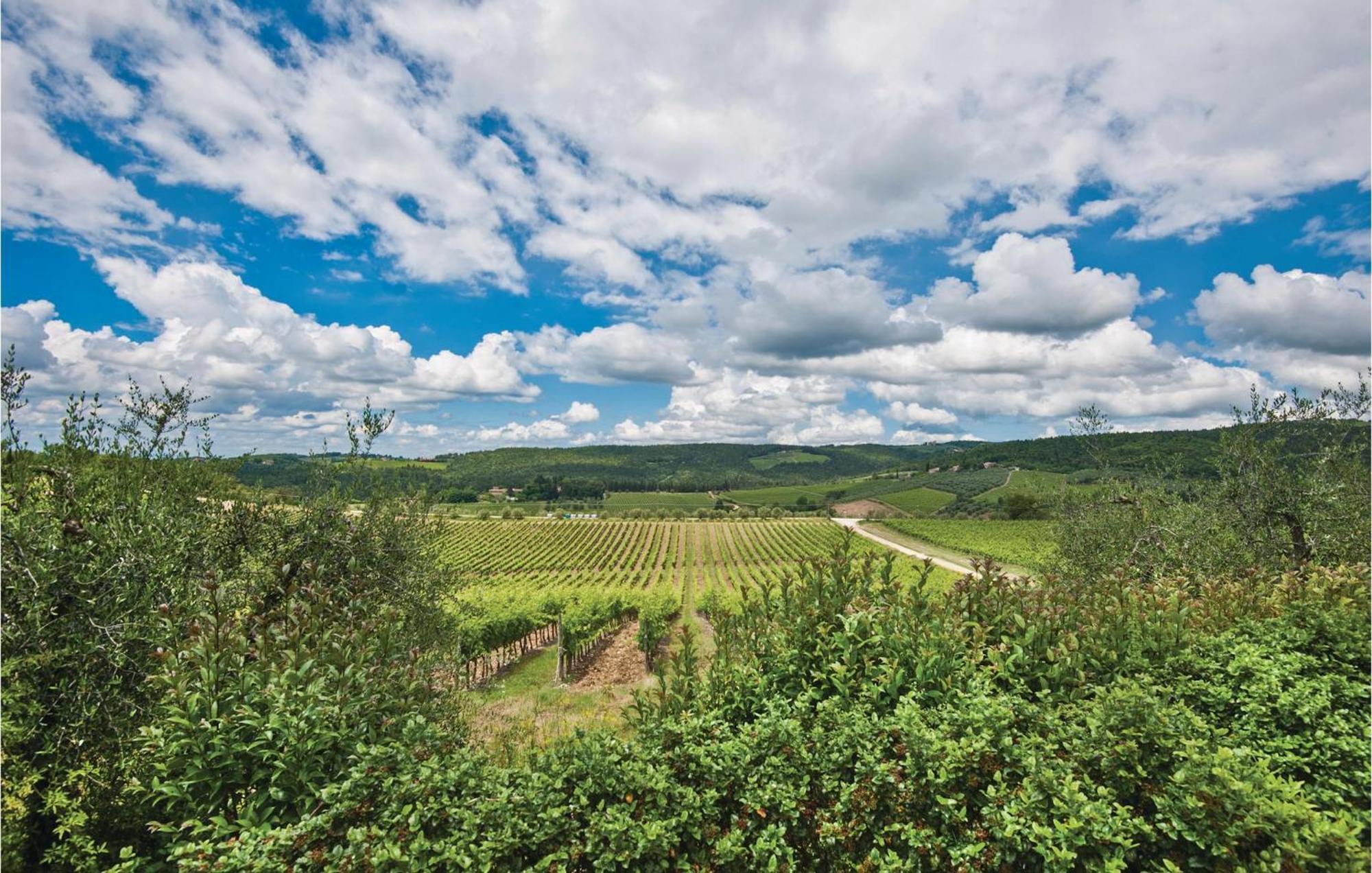 Piazzale 1 Διαμέρισμα Castellina in Chianti Εξωτερικό φωτογραφία